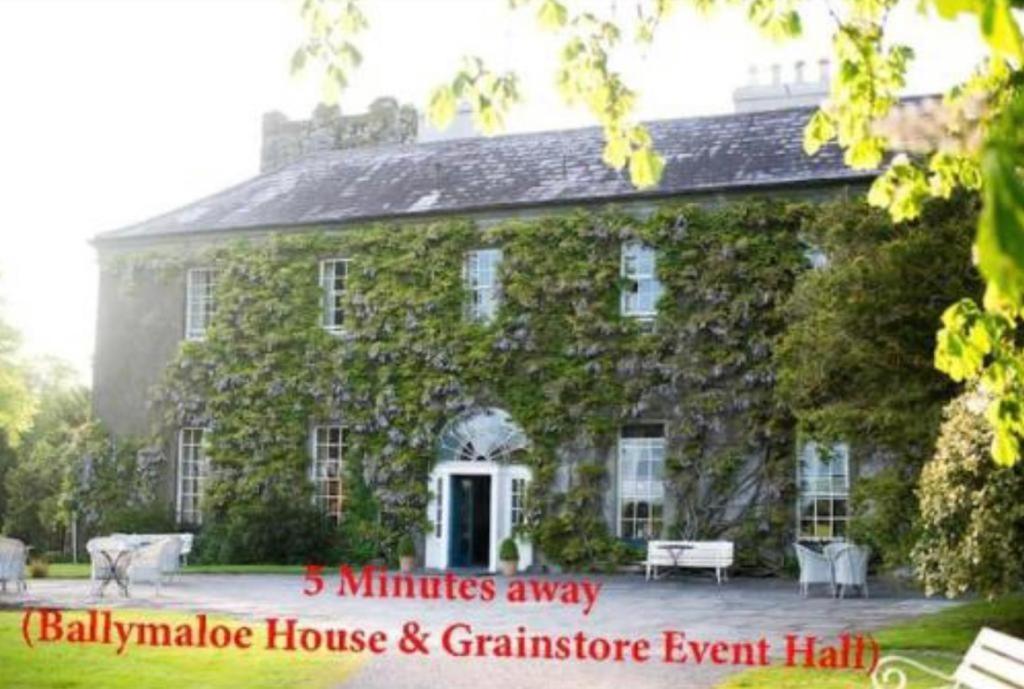 Ashlee Lodge, Shanagarry P25K6R6 Near Ballymaloe House & Garryvoe Hotel المظهر الخارجي الصورة
